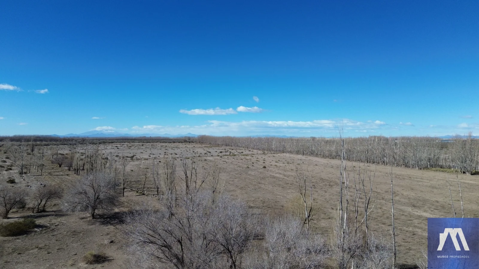 Campo en venta de 1305ha ubicado en Malargue - Imagen 2