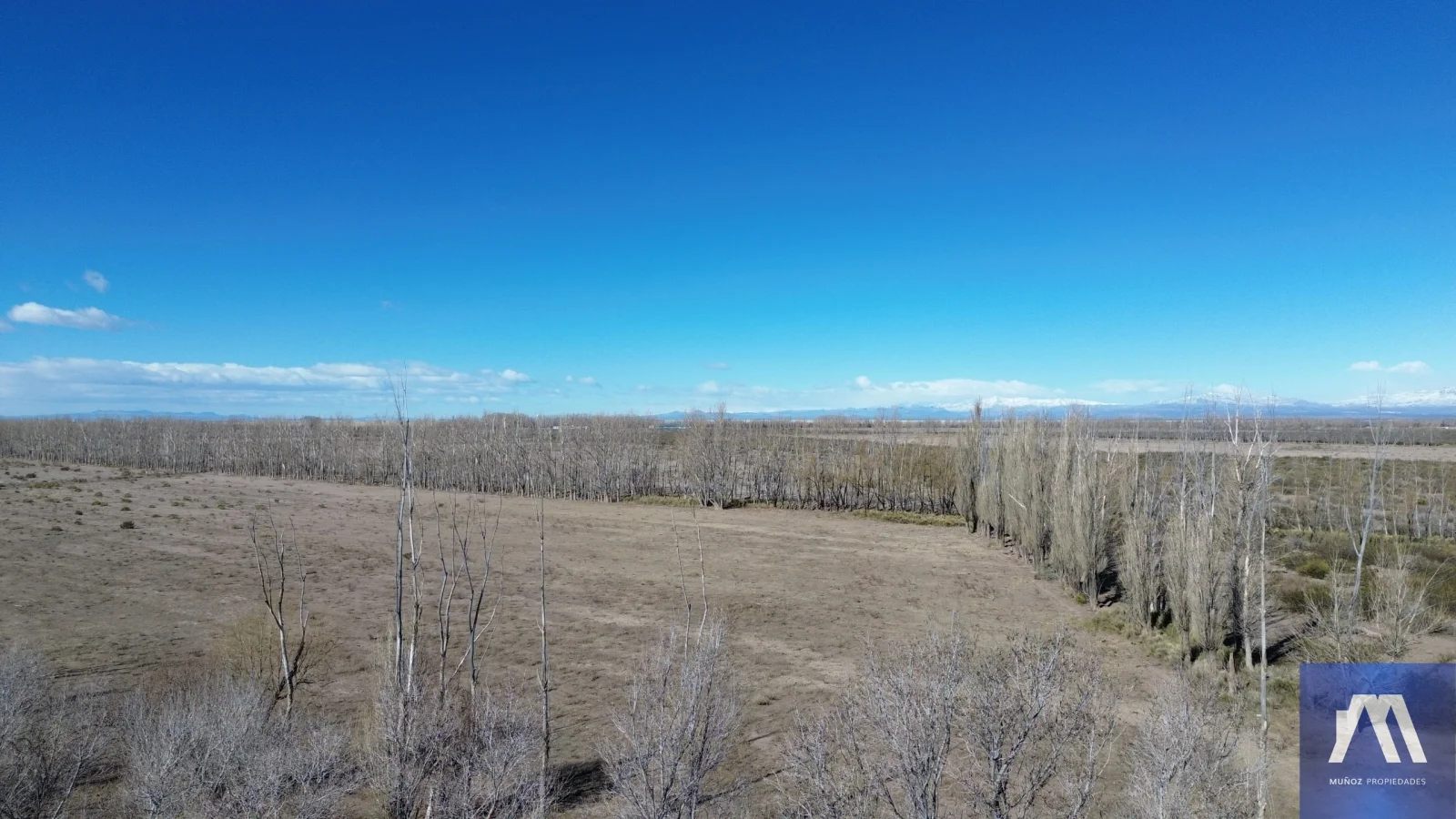 Campo en venta de 1305ha ubicado en Malargue - Imagen 1