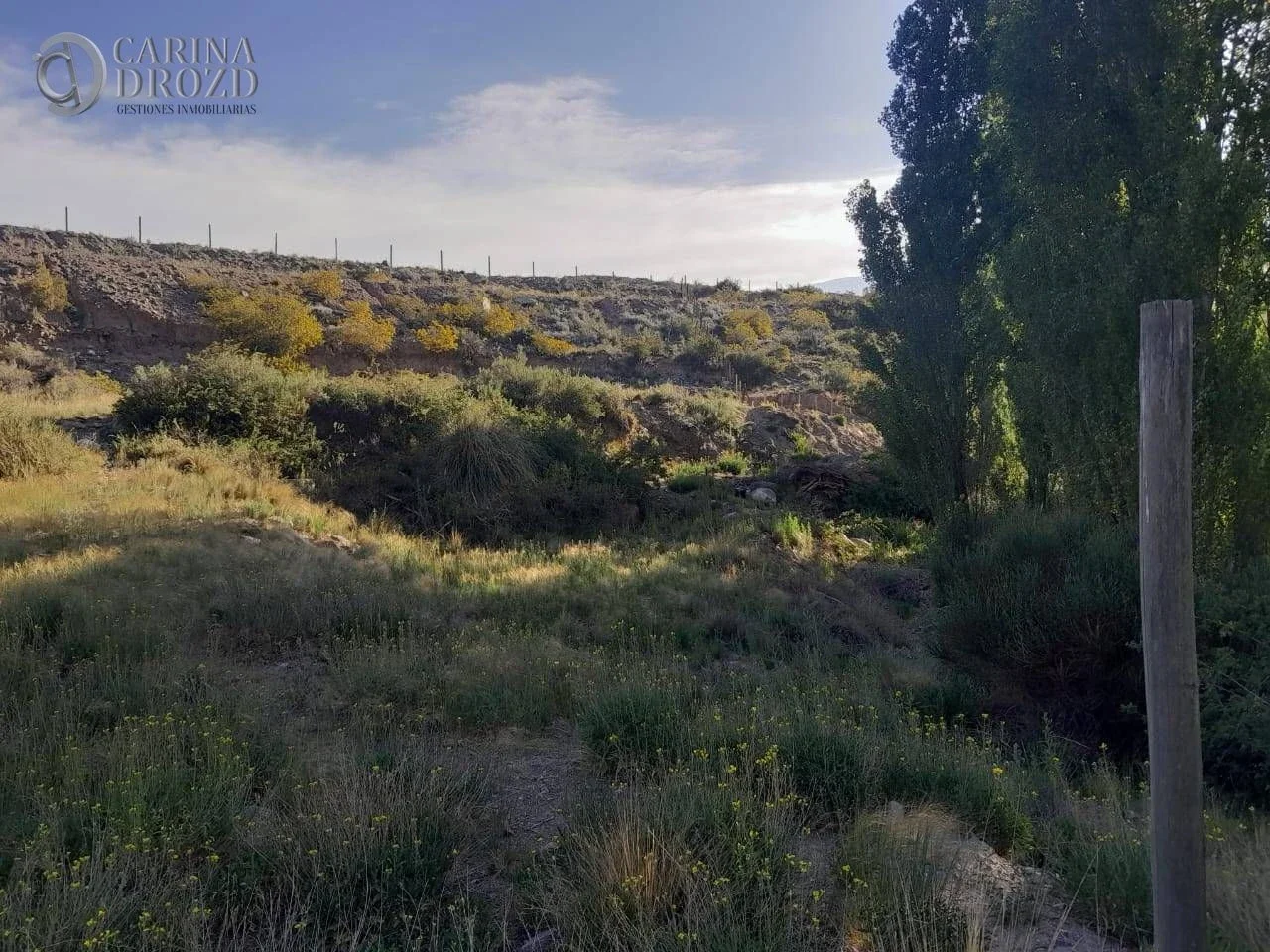 Terreno / Lote en venta de 2954m2 ubicado en Potrerillos - Imagen 3