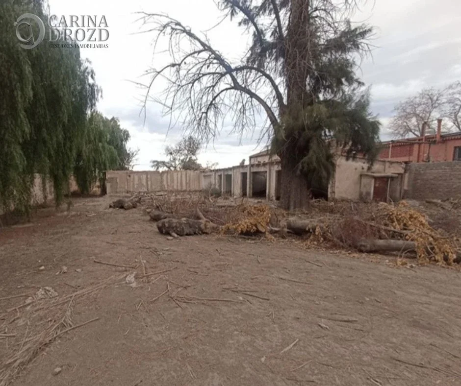 Terreno / Lote en venta de 2354m2 ubicado en Buena Nueva - Imagen 5
