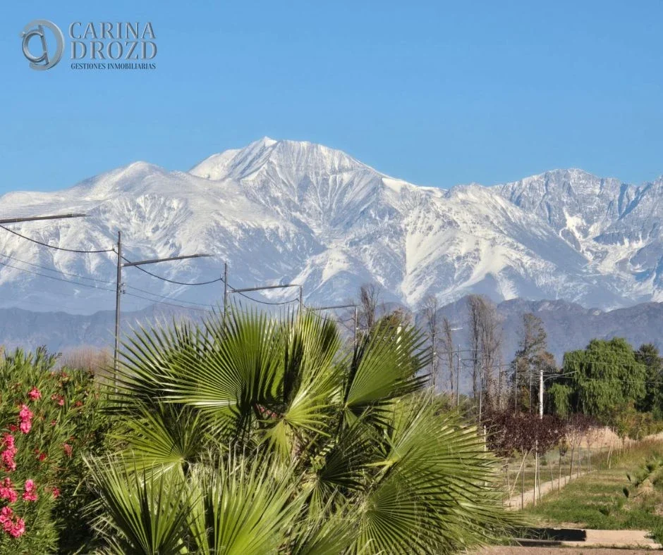 Terreno / Lote en venta de 500m2 ubicado en Cruz de Piedra - Imagen 5