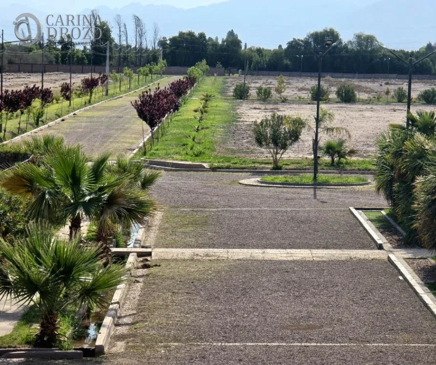 Terreno / Lote en venta de 500m2 ubicado en Cruz de Piedra - Imagen 3