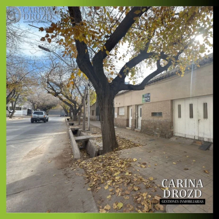 Terreno / Lote en venta de 312.1m2 ubicado en 4.ª Sección Área Fundacional - Imagen 4