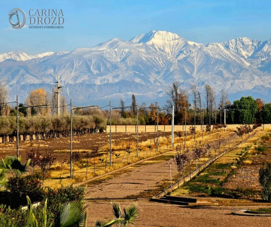 Terreno / Lote en venta de 500m2 ubicado en Cruz de Piedra - Imagen 4
