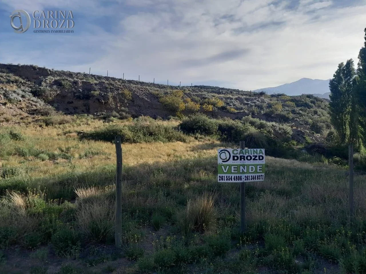Terreno / Lote en venta de 2954m2 ubicado en Potrerillos - Imagen 1