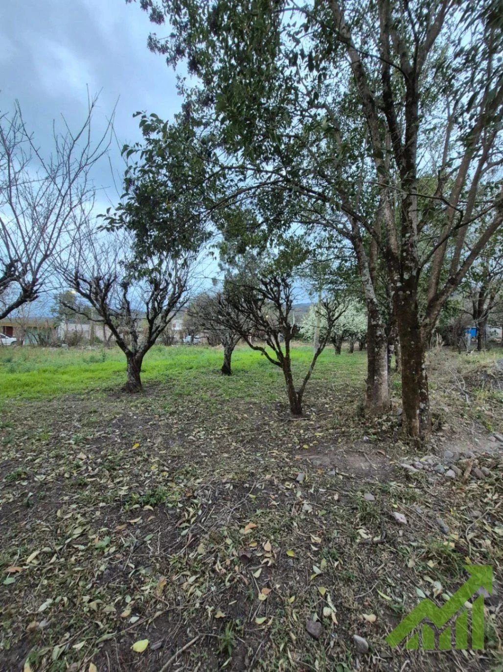 Terreno / Lote en venta de 811.2m2 ubicado en Lozano - Imagen 5