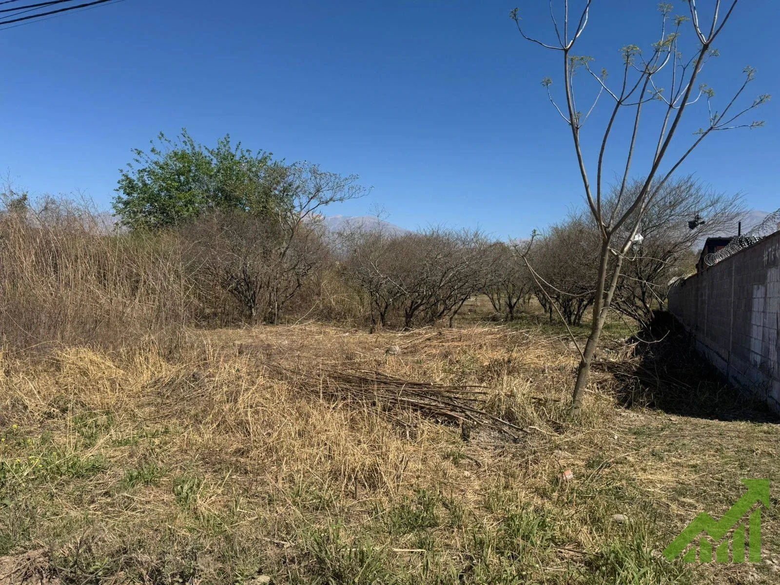 Terreno / Lote en venta de 600m2 ubicado en Los Perales - Imagen 4