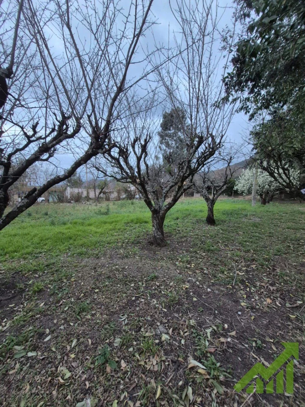 Terreno / Lote en venta de 811.2m2 ubicado en Lozano - Imagen 4