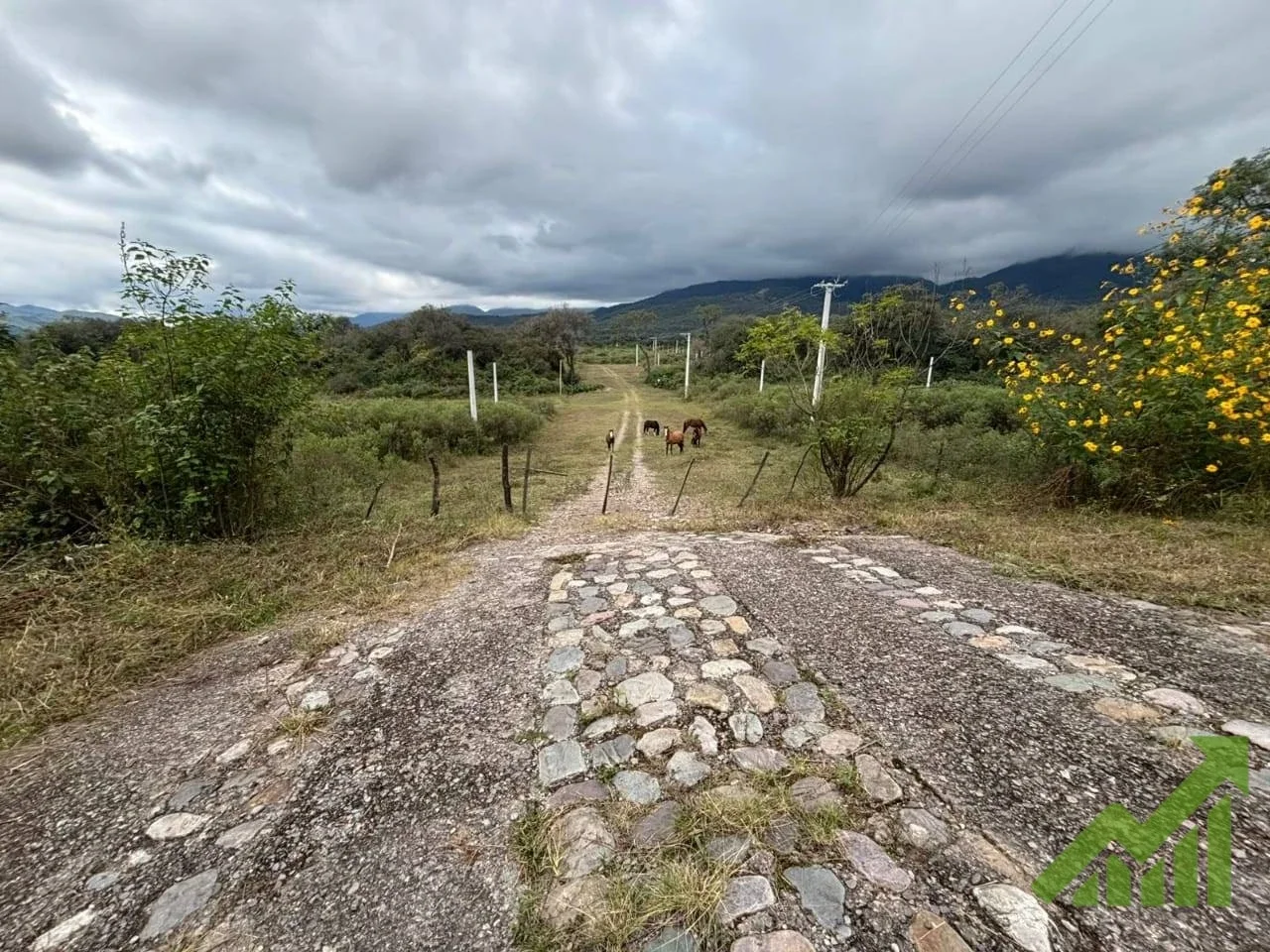 Terreno / Lote en venta de 945m2 ubicado en San Antonio - Imagen 3