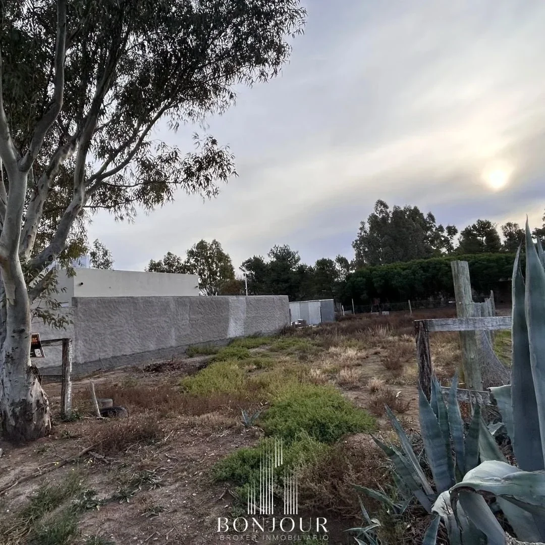 Terreno / Lote en venta de 360m2 ubicado en Nueva Belgrano - Imagen 3