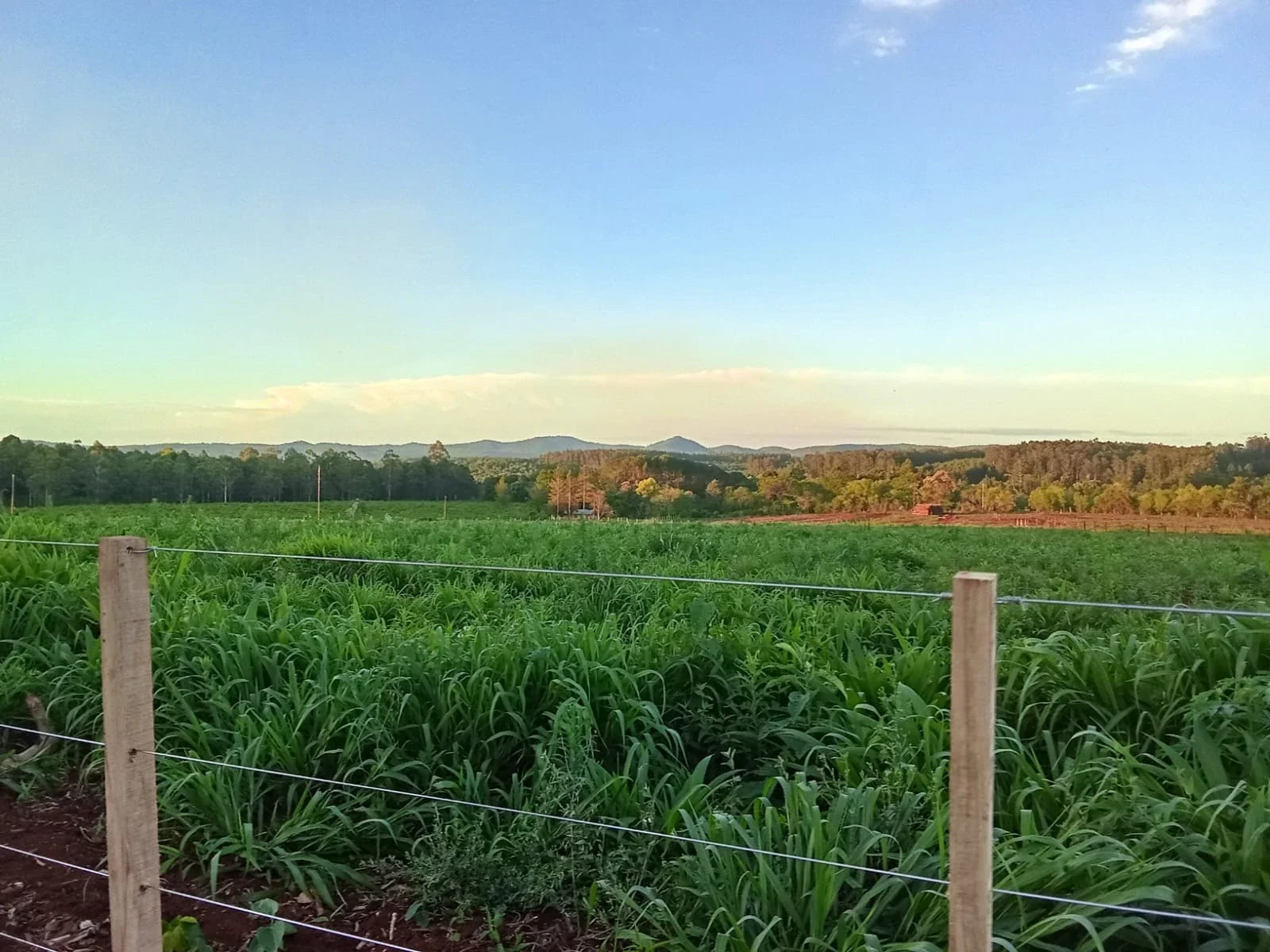 Chacra de 5,5 ha en Santiago de Liniers KM 36 - Imagen 1