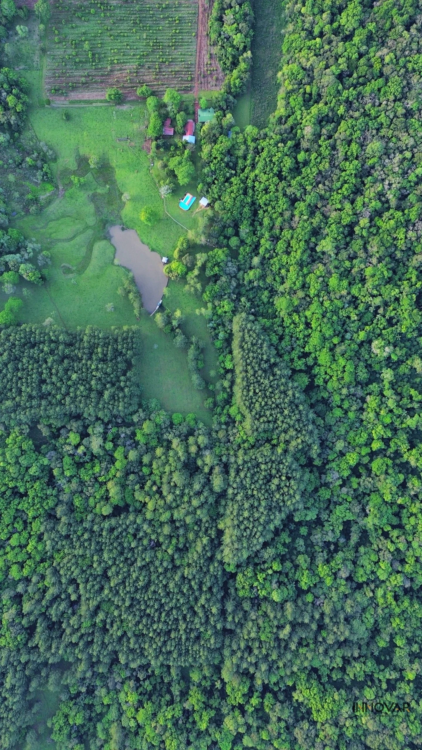 2 hectáreas a pocos minutos del Centro de Eldorado - Imagen 2
