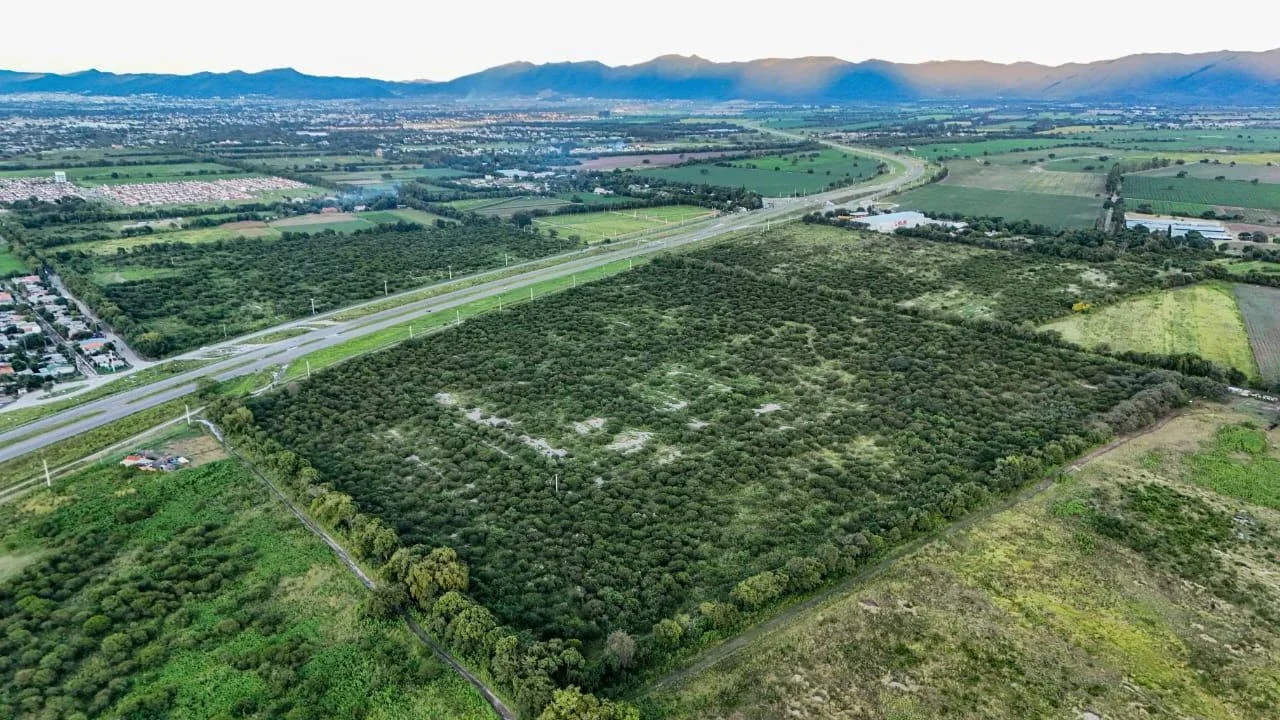 Vendo finca en Cerrillos - Imagen 3