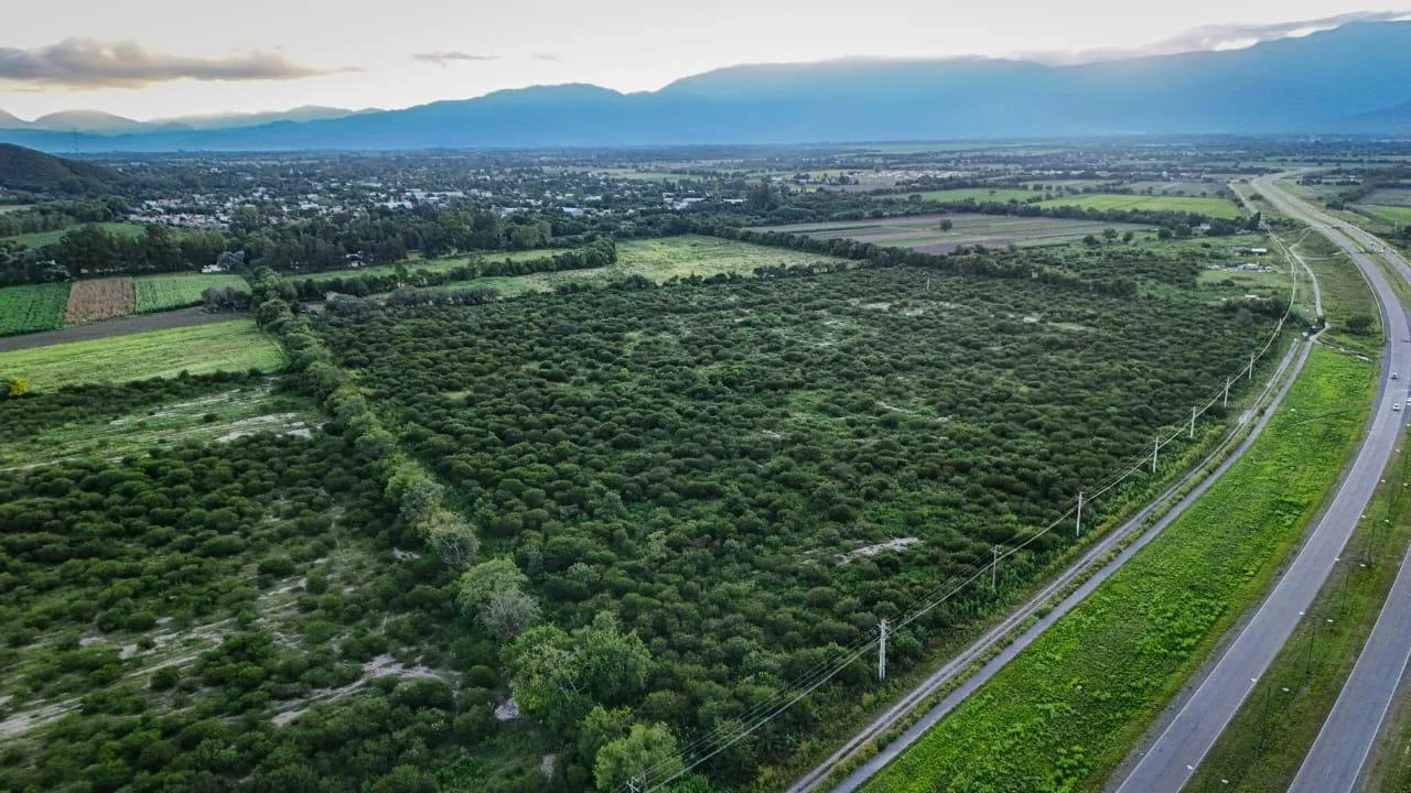 Vendo finca en Cerrillos - Imagen 2
