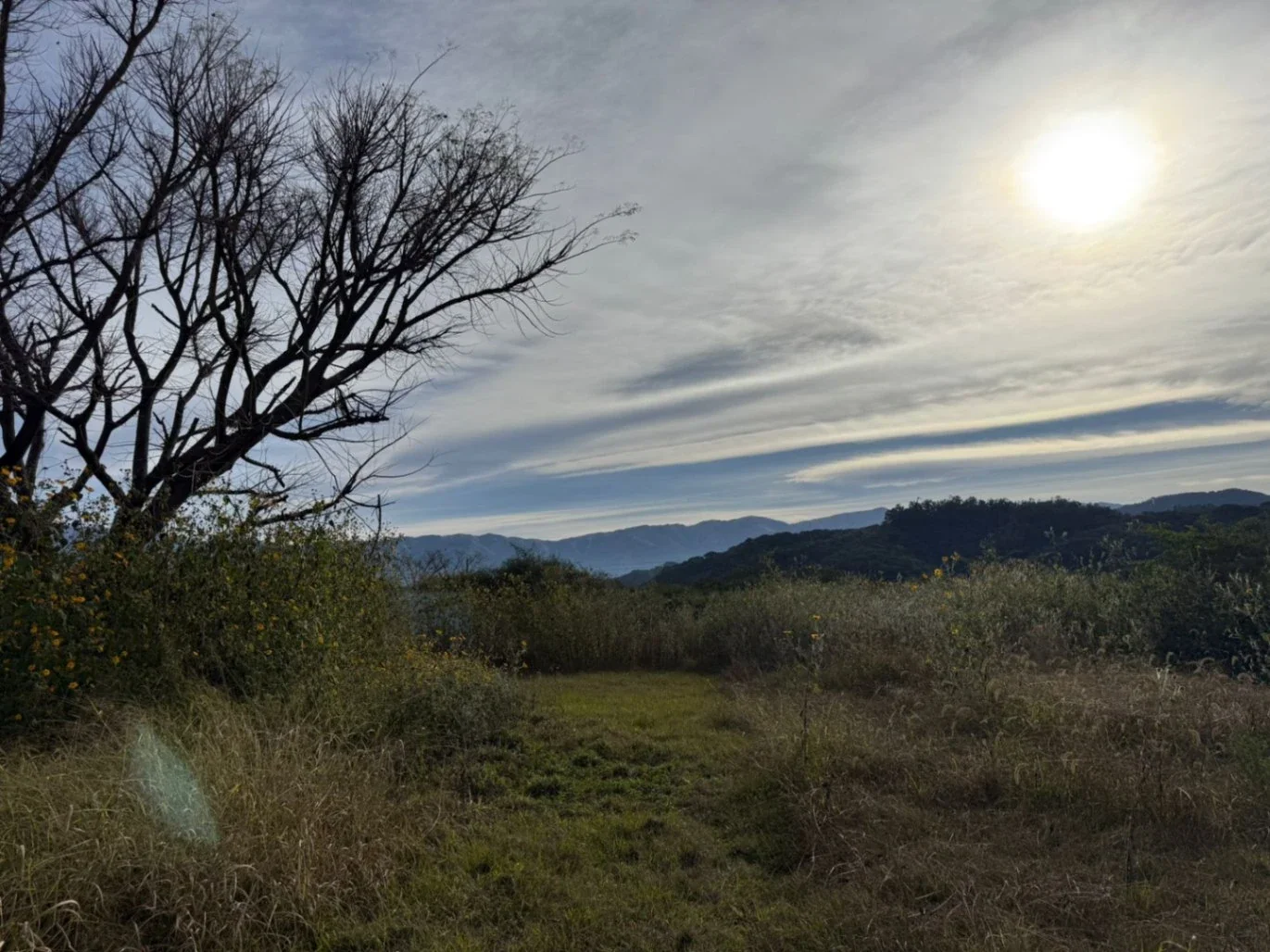 Terreno en venta en San Luis - Imagen 5