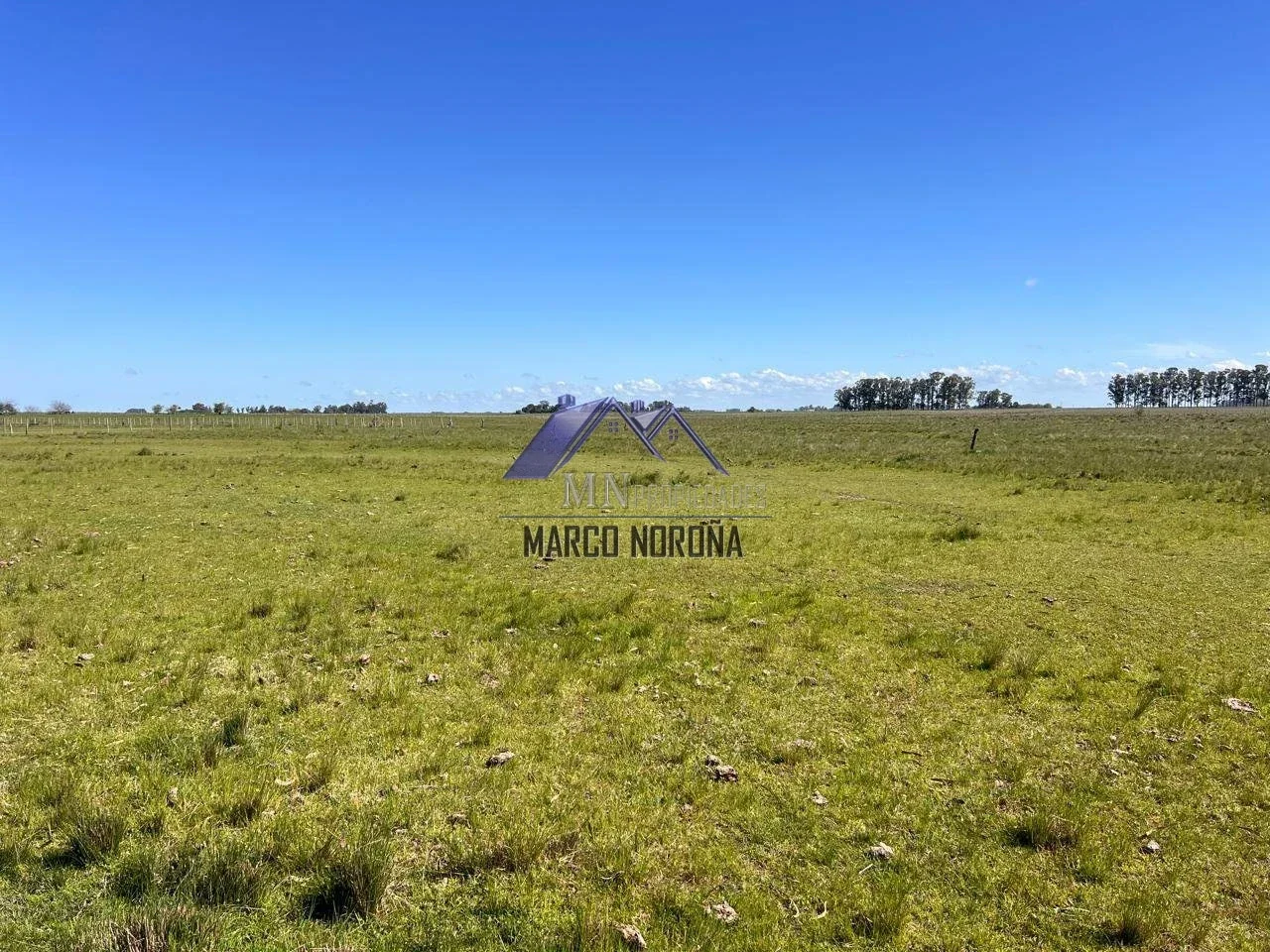 Campo en venta de 18ha con mejoras en Magdalena - Imagen 2