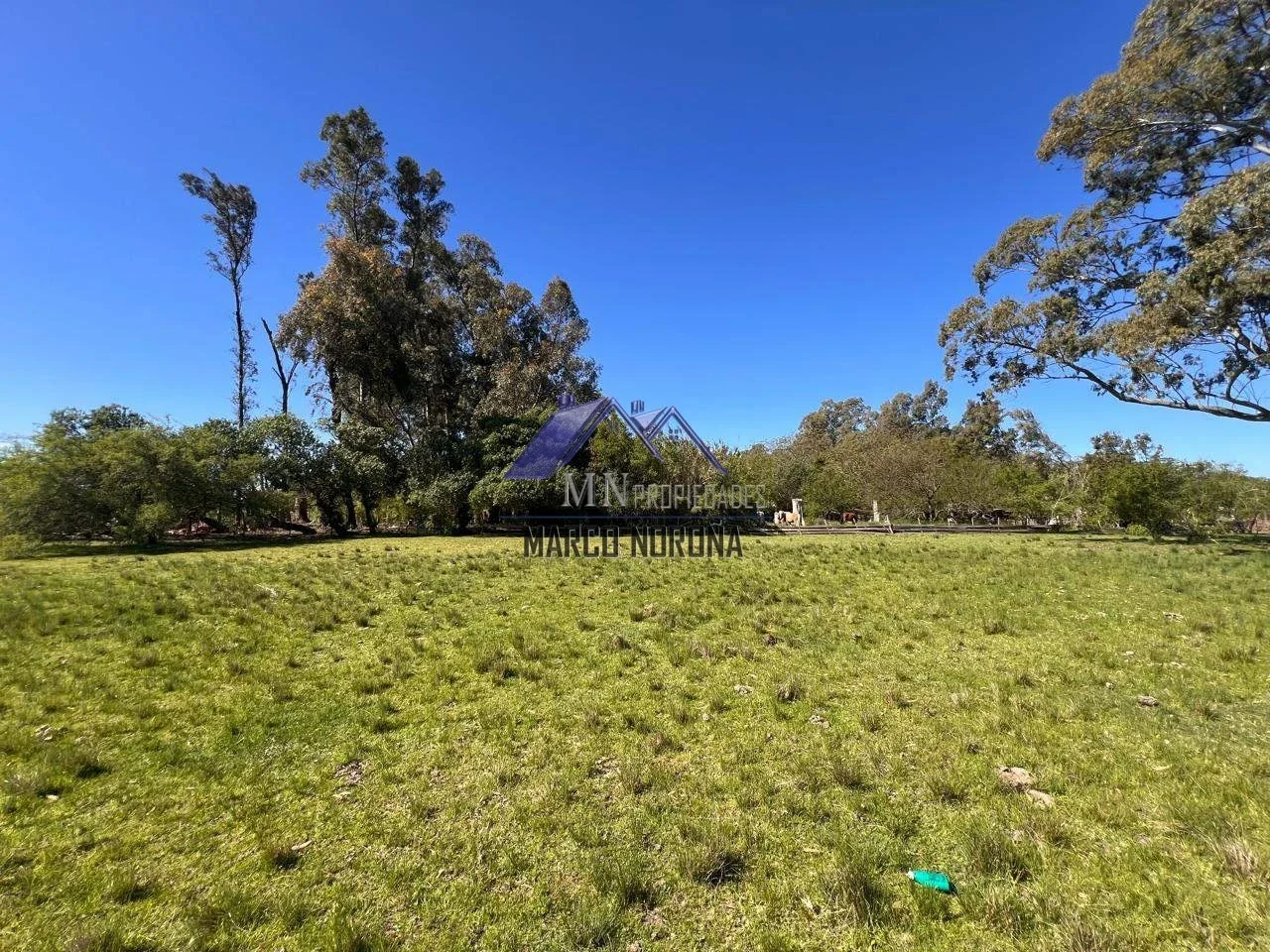 Campo en venta de 18ha con mejoras en Magdalena - Imagen 3