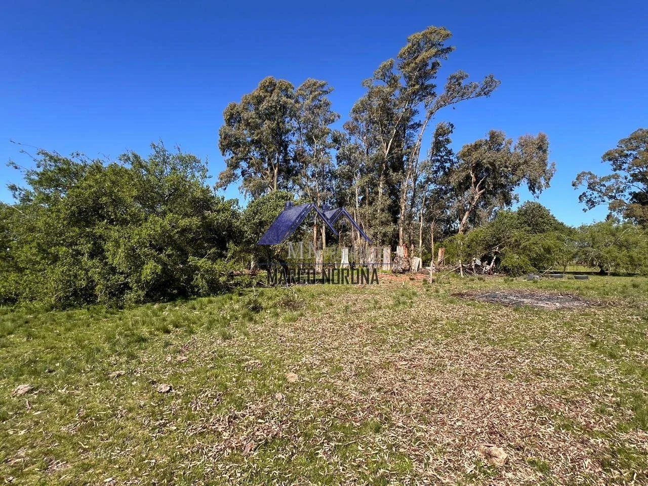 Campo en venta de 18ha con mejoras en Magdalena - Imagen 4