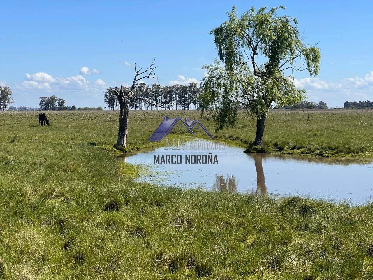 Campo en venta de 18ha con mejoras en Magdalena - Imagen 5