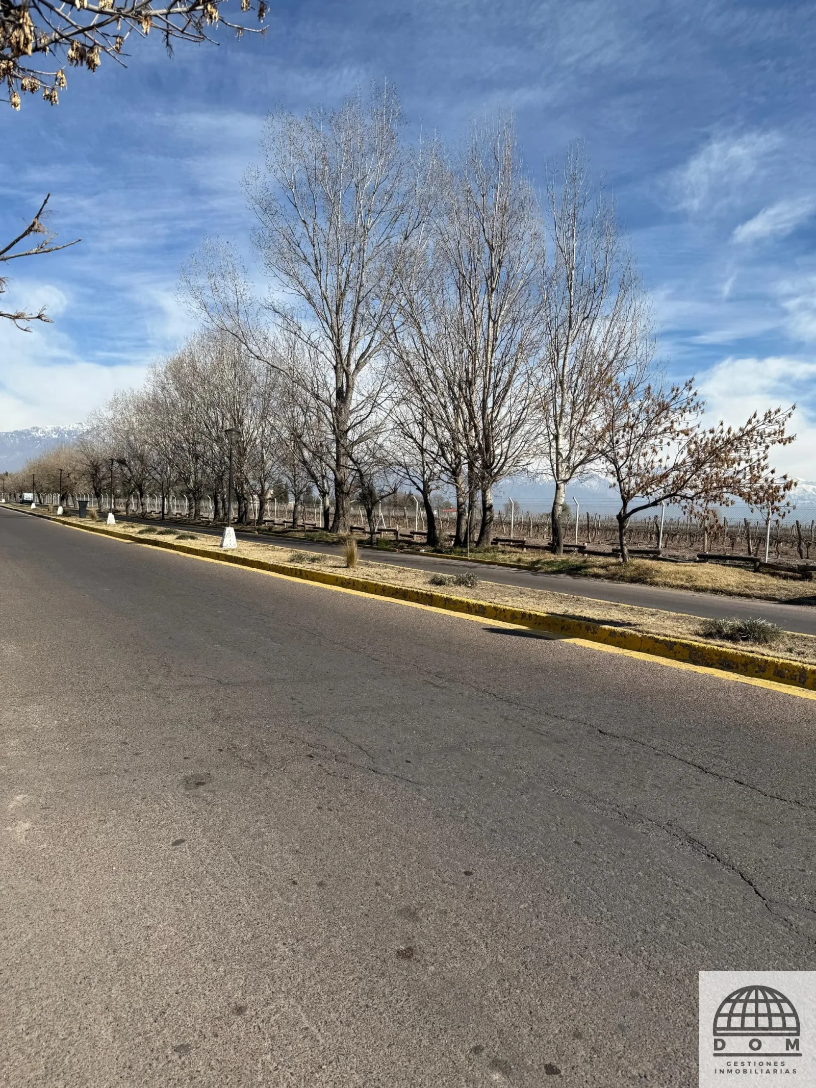 Terreno / Lote en venta de 46997m2 ubicado en La Consulta - Imagen 2