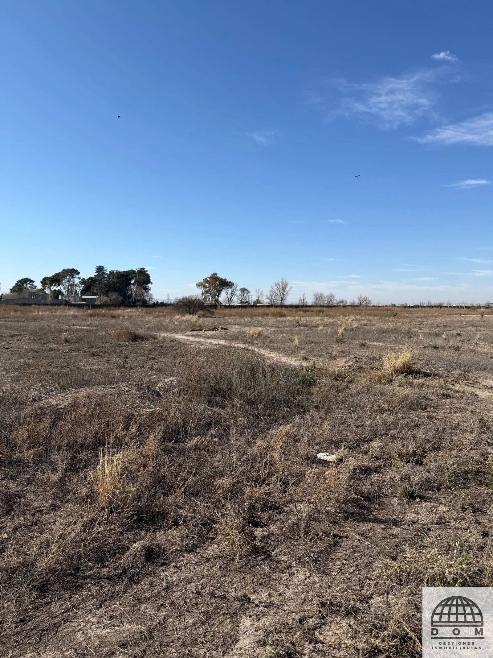 Terreno / Lote en venta de 46997m2 ubicado en La Consulta - Imagen 5