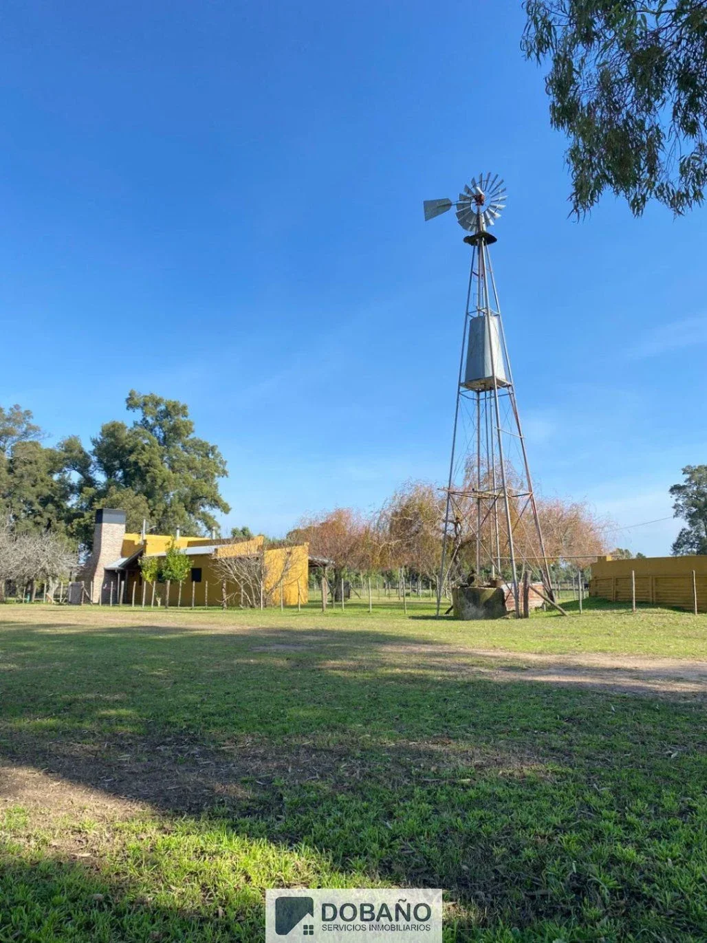 Vendo Campo de 80 ha en Ranchos, General Paz. - Imagen 2