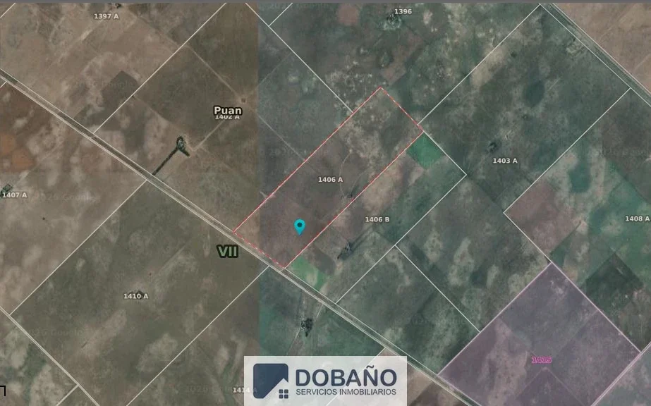 Campo en venta de 271 ha ubicado en Villa Iris, Puan. - Imagen 4