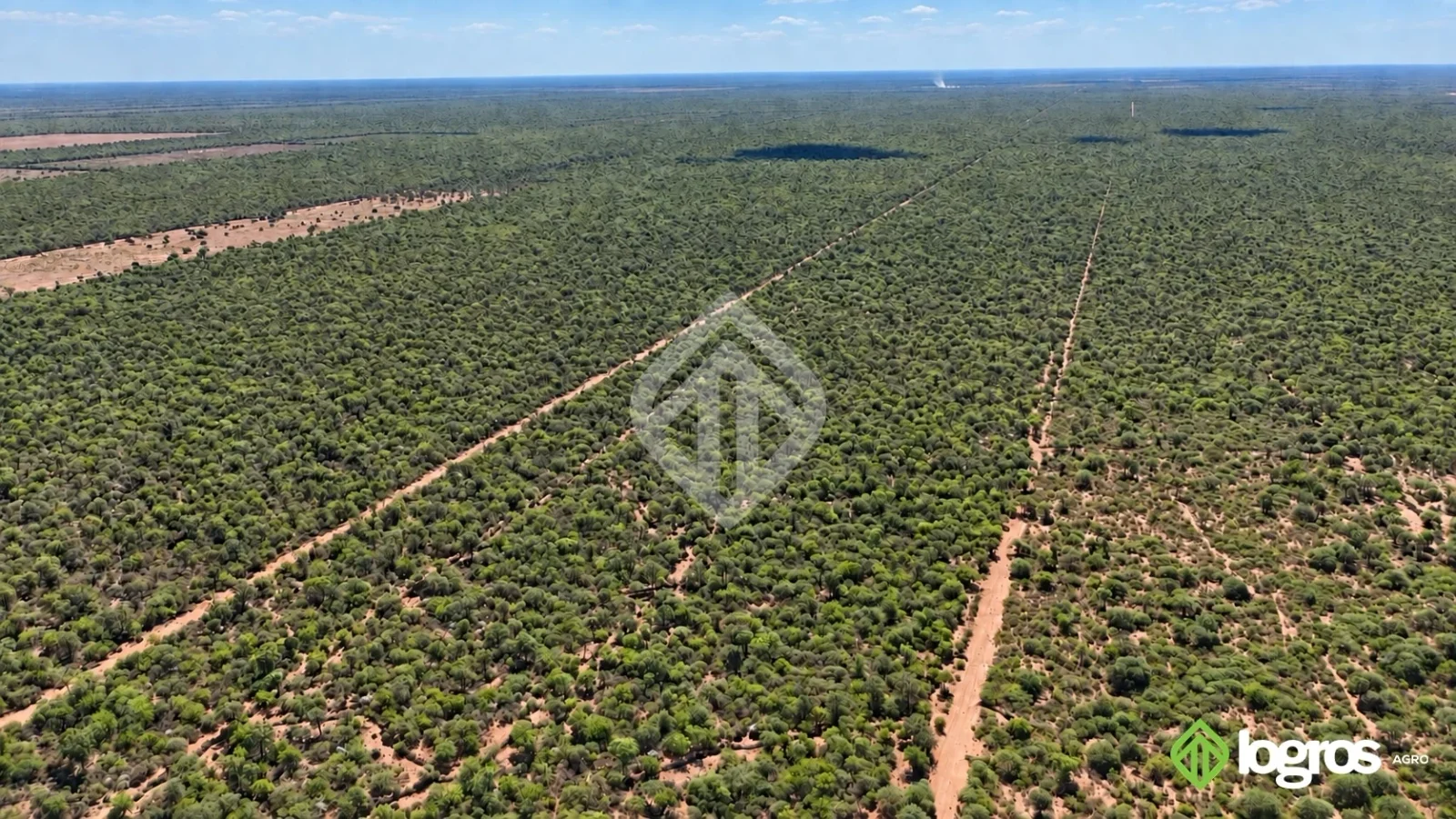 Campo ganadero con base agrícola de 2780 ha | Ruta Provincial 41, Anta | Salta - Imagen 4