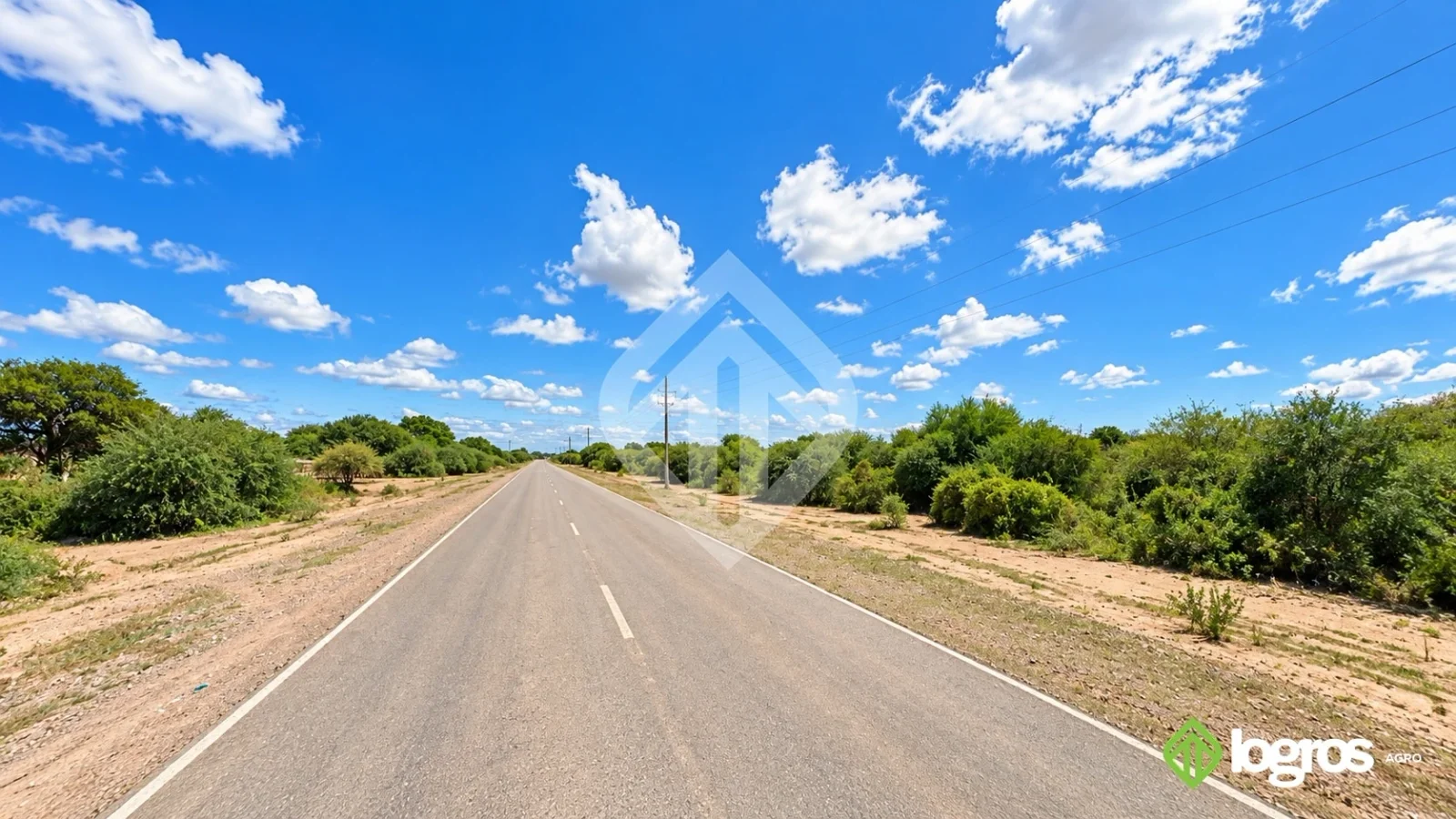 Campo Ganadero 1000 ha de monte sobre ruta asfaltada | Rivadavia B. Sur | Salta - Imagen 1