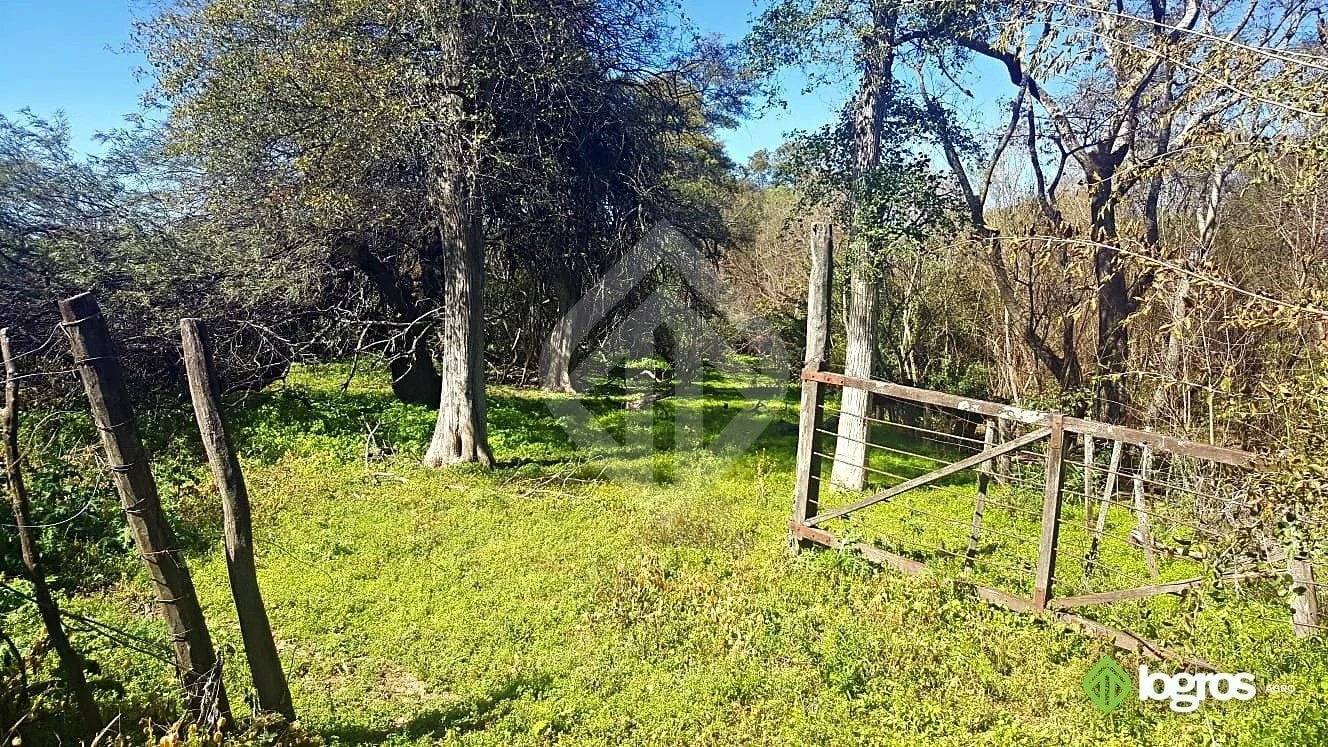 Campo ganadero de 3440 ha | sobre ruta | Los Blancos, Rivadavia | Salta - Imagen 5