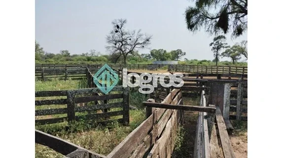 Campo Mixto en venta de 2080 ha | Los Pirpintos | Santiago del Estero - Imagen 3