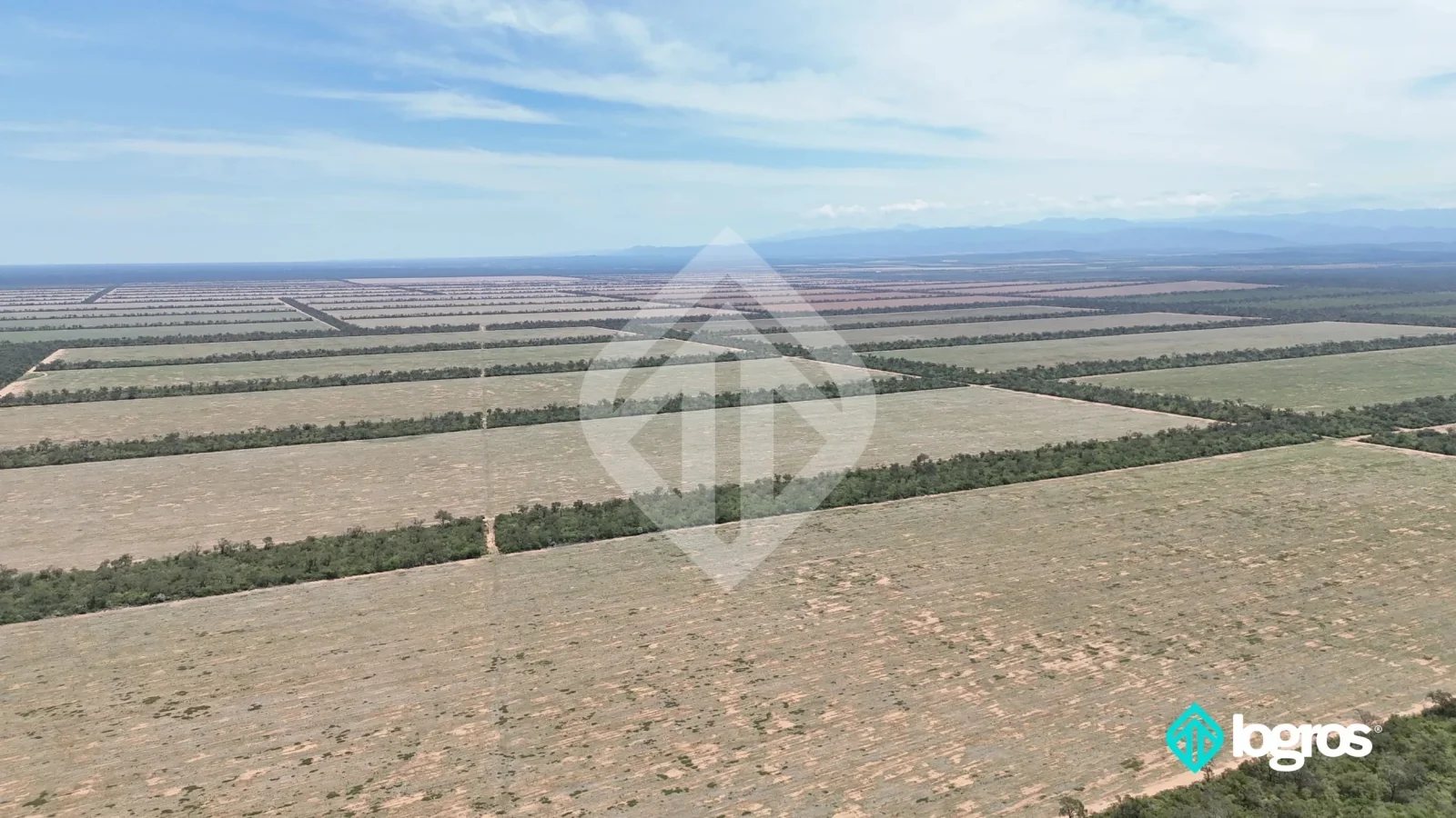 Campo agrícola en producción de 1.540 ha | Dpto. Metán | Salta - Imagen 5