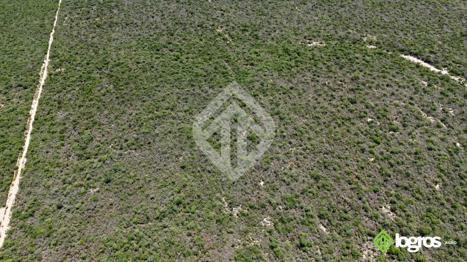 Campo ganadero en desarrollo de 3000 ha | Dragones, Chaco salteño | Salta - Imagen 5