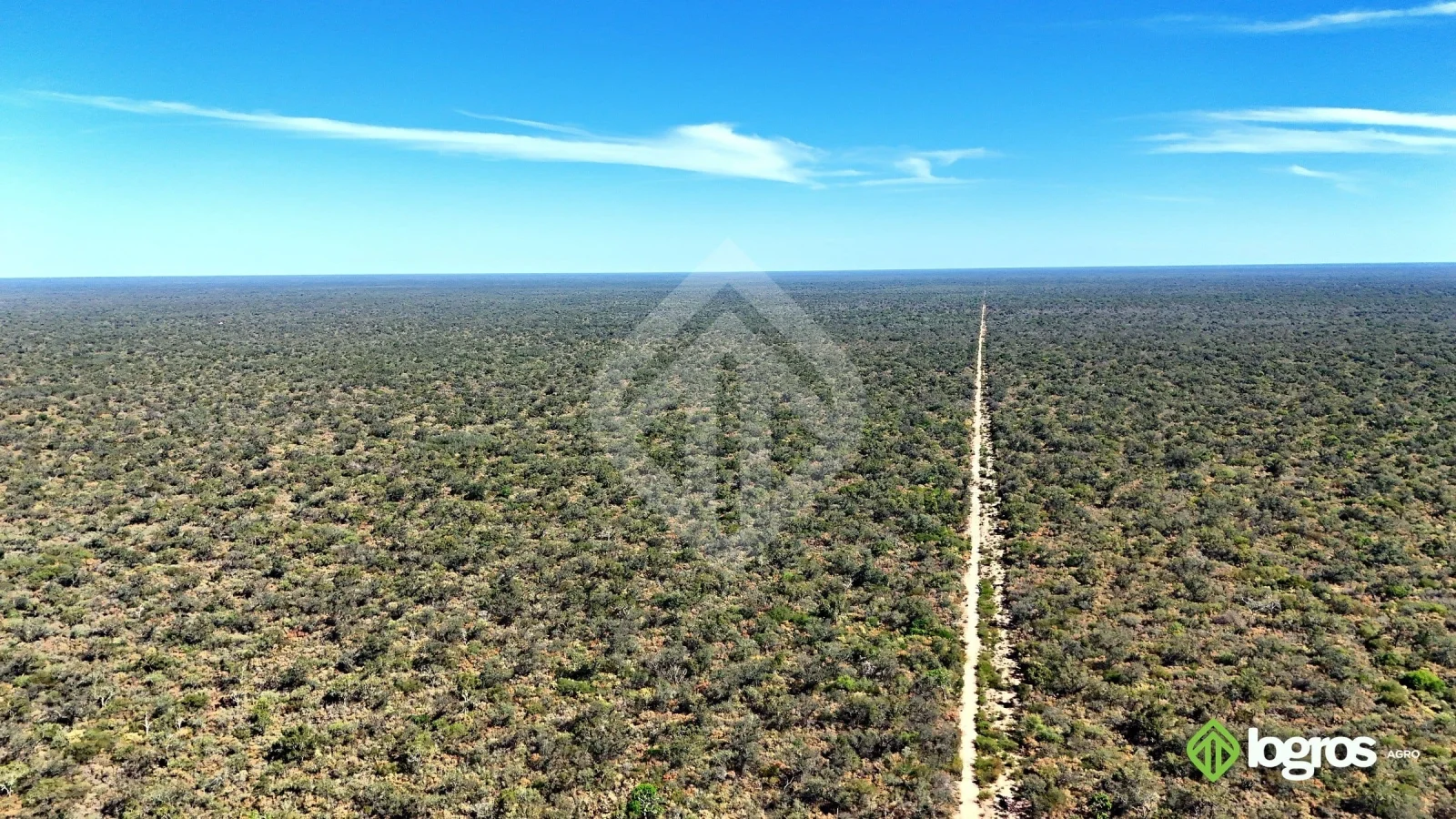 Campo ganadero de 3440 ha | sobre ruta | Los Blancos, Rivadavia | Salta - Imagen 1
