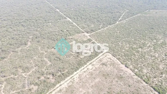 Campo Mixto en venta de 2080 ha | Los Pirpintos | Santiago del Estero - Imagen 5
