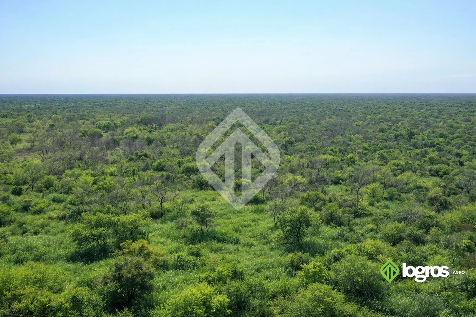 Campo ganadero con agua permanente  10400 ha | R.N. 81 | Rivadavia, Salta - Imagen 3