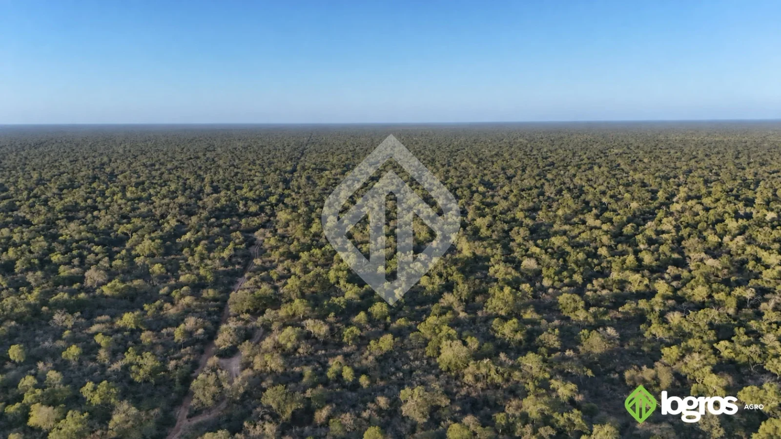 Campo ganadero en desarrollo de 3000 ha | Dragones, Chaco salteño | Salta - Imagen 3