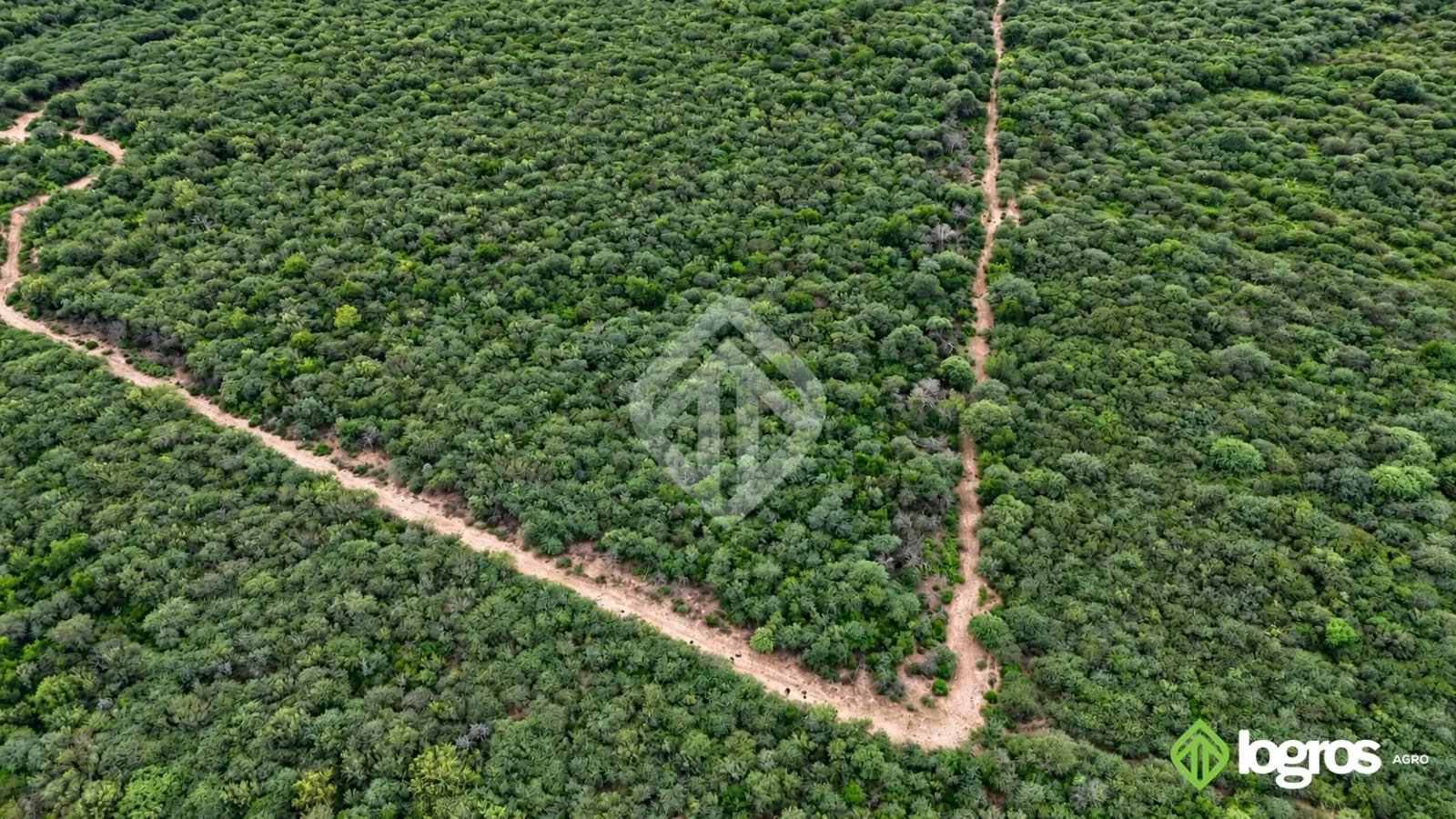 Campo ganadero con base agrícola de 2780 ha | Ruta Provincial 41, Anta | Salta - Imagen 1