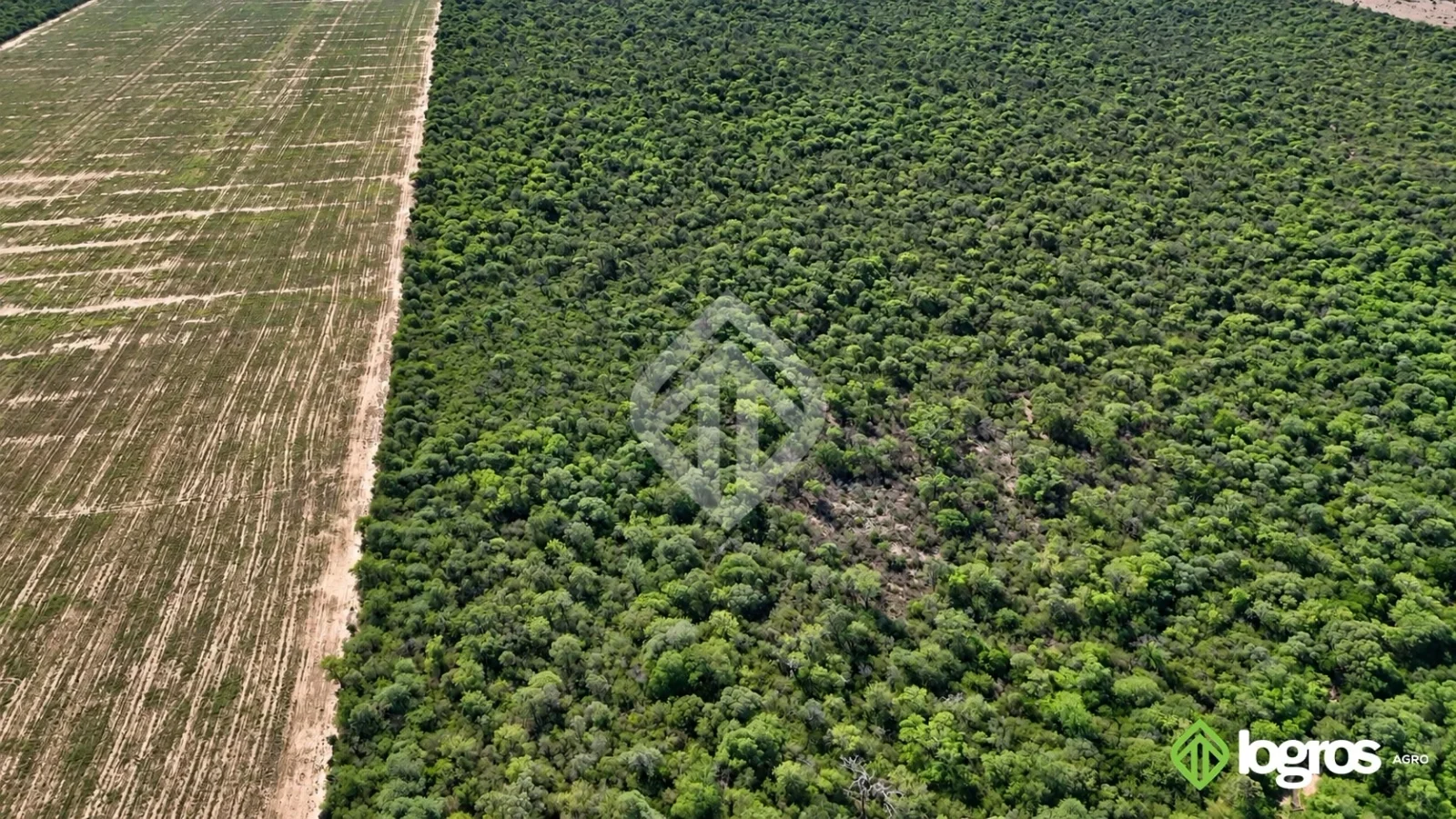 Campo ganadero con base agrícola de 2780 ha | Ruta Provincial 41, Anta | Salta - Imagen 5