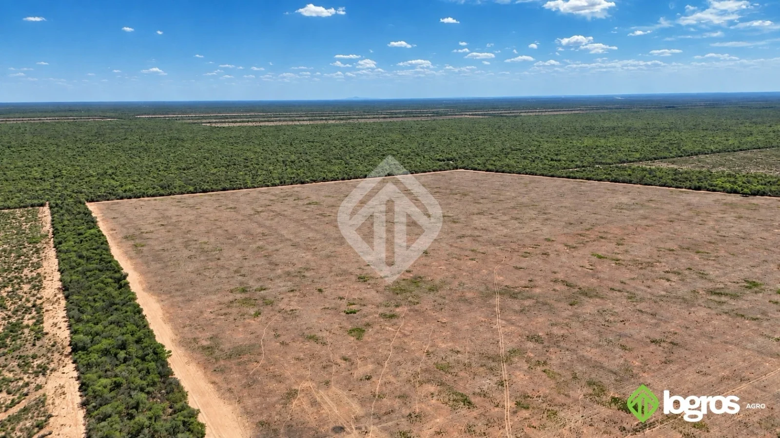 Campo ganadero con base agrícola de 2780 ha | Ruta Provincial 41, Anta | Salta - Imagen 2