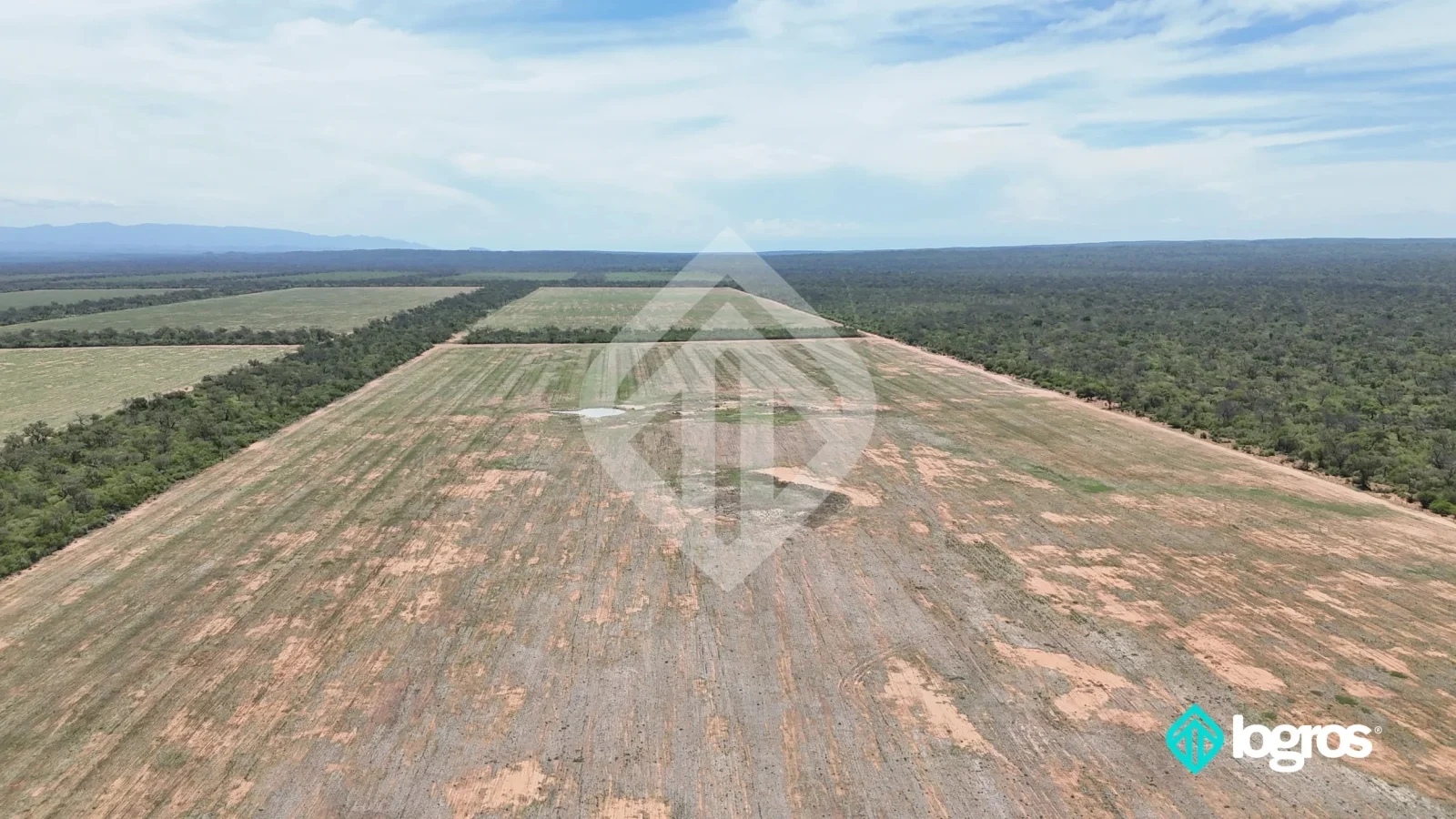 Campo agrícola en producción de 1.540 ha | Dpto. Metán | Salta - Imagen 3