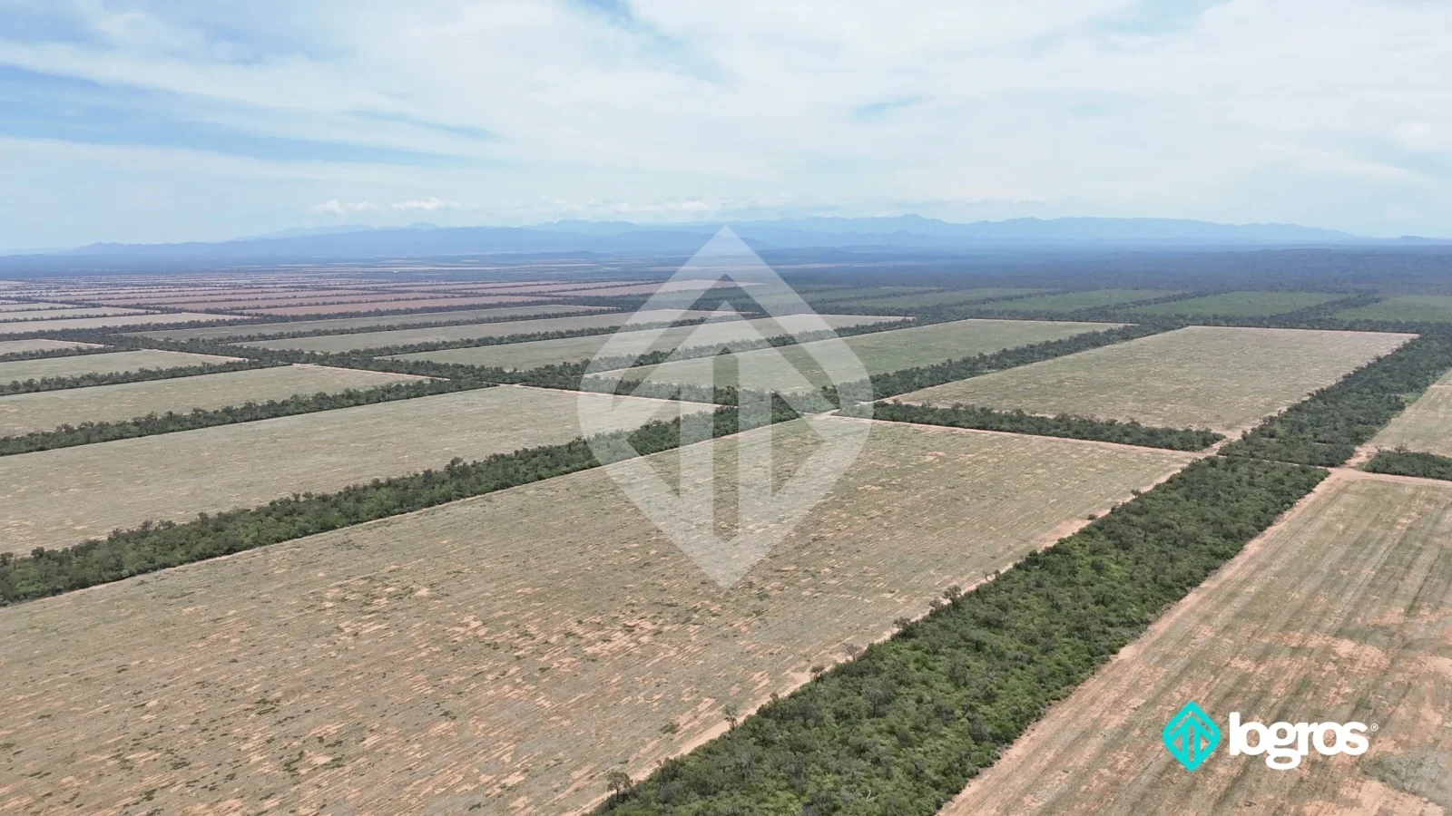 Campo agrícola en producción de 1.540 ha | Dpto. Metán | Salta - Imagen 4