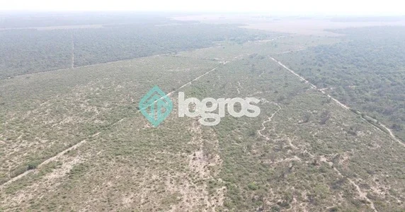 Campo Mixto en venta de 2080 ha | Los Pirpintos | Santiago del Estero - Imagen 4