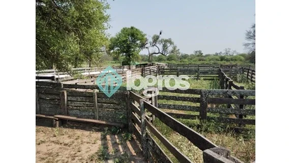 Campo Mixto en venta de 2080 ha | Los Pirpintos | Santiago del Estero - Imagen 1