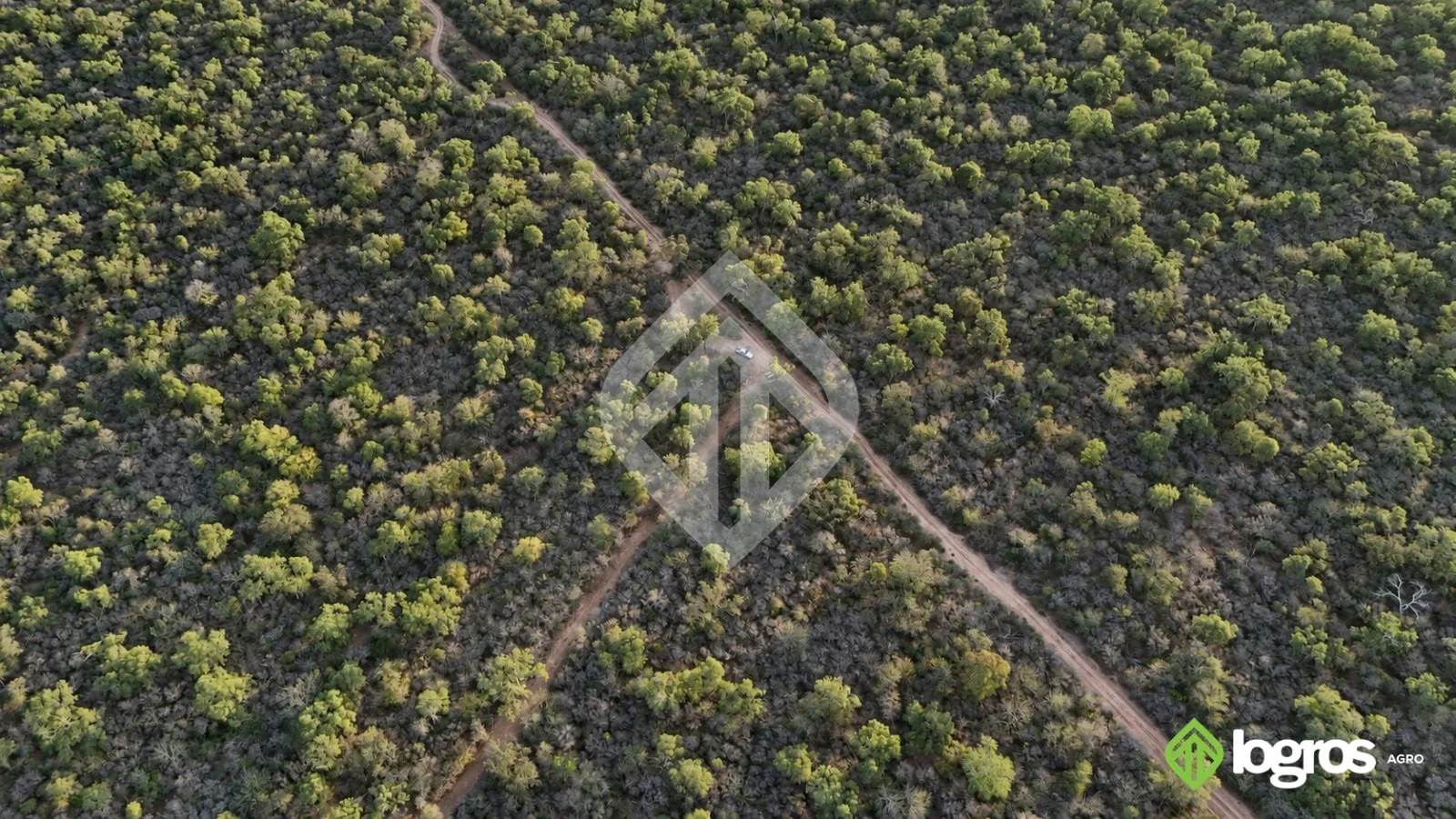 Campo ganadero en desarrollo de 3000 ha | Dragones, Chaco salteño | Salta - Imagen 4