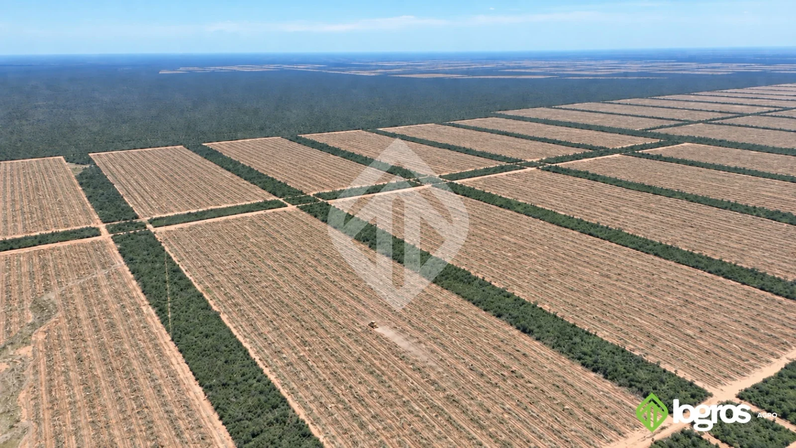 En Venta | Campo agrícola de 2.900 ha en zona porotera | RP 5 | Salta - Imagen 2