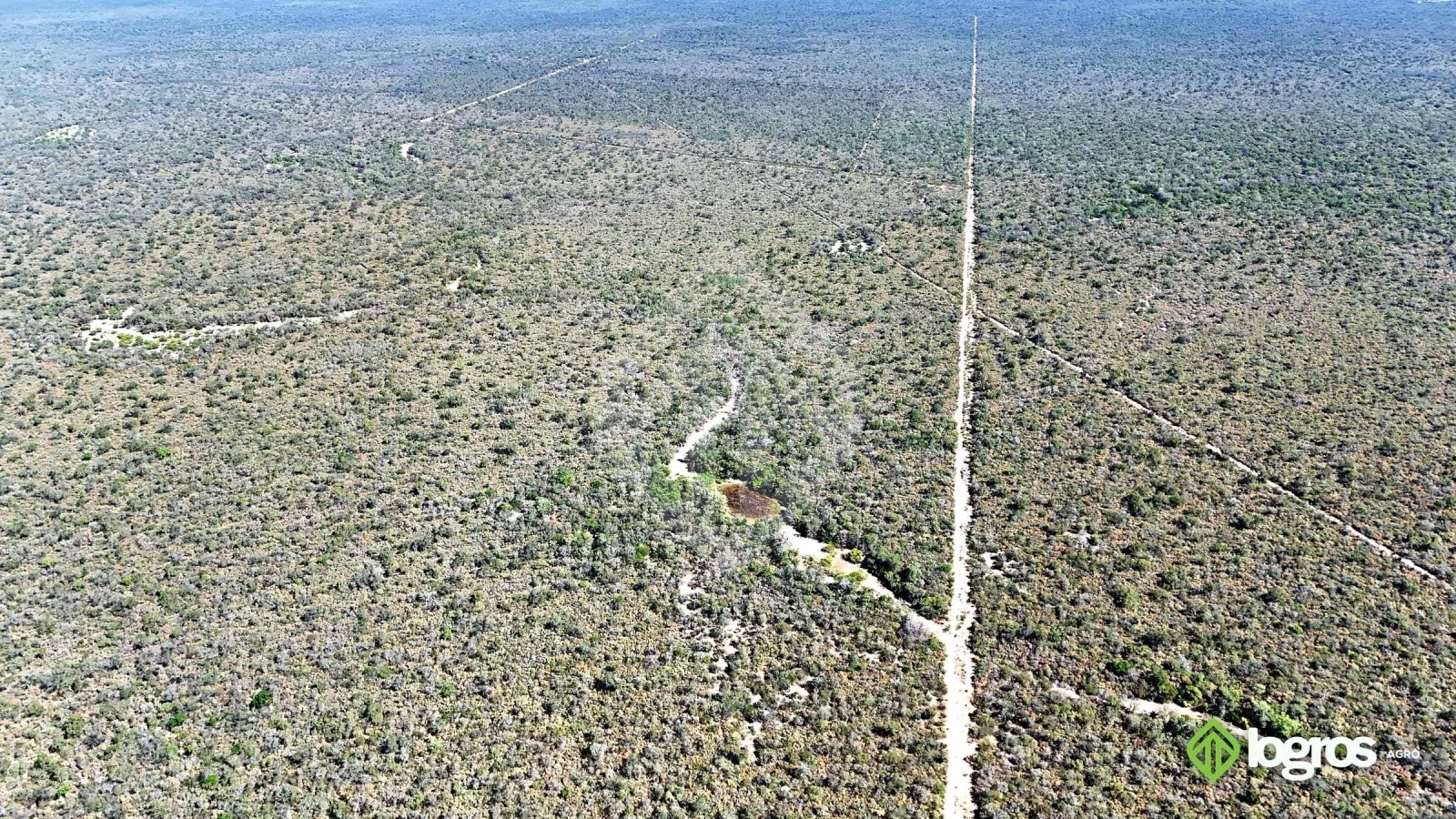 Campo ganadero de 3440 ha | sobre ruta | Los Blancos, Rivadavia | Salta - Imagen 4
