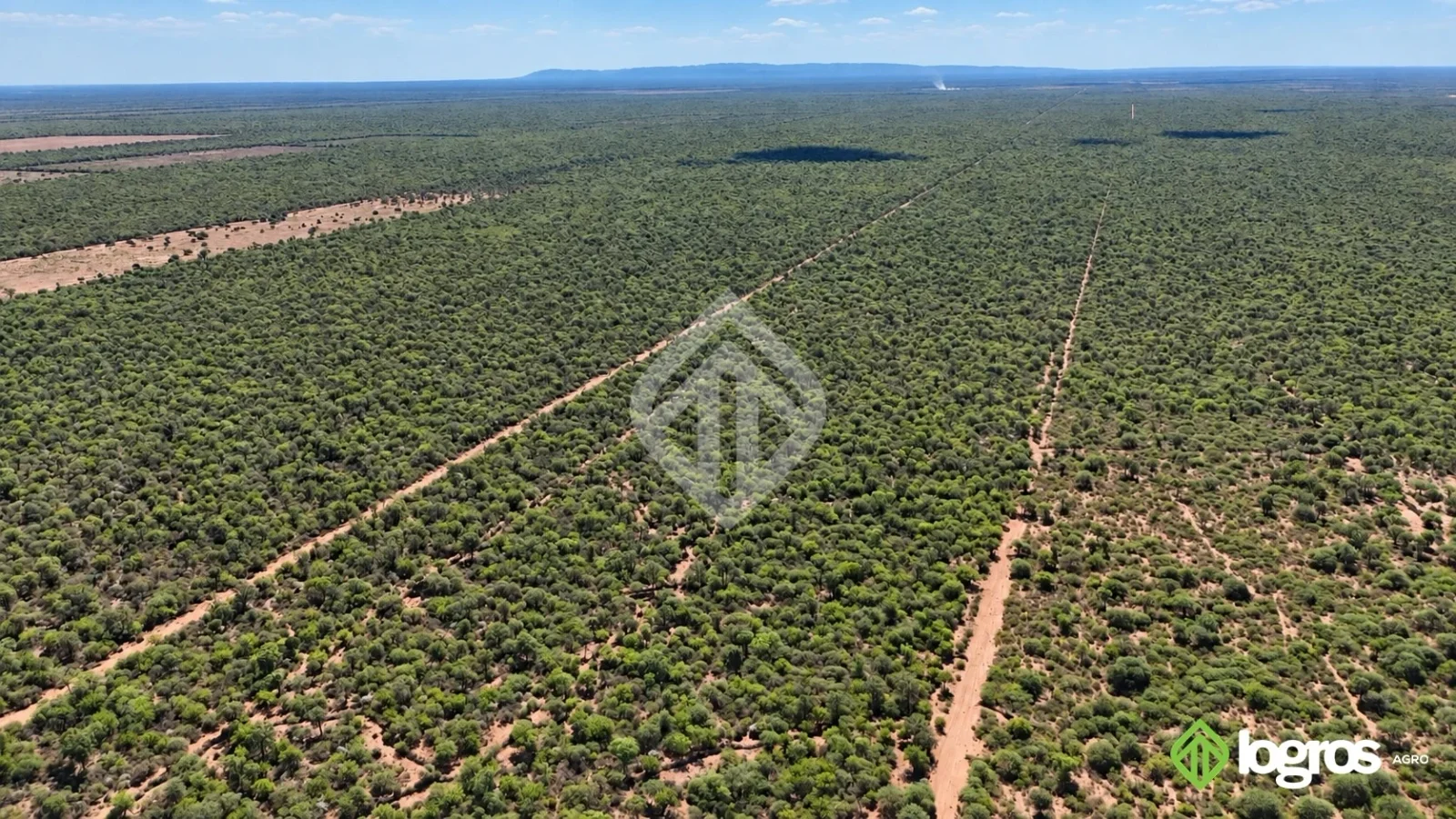 Campo ganadero con base agrícola de 2780 ha | Ruta Provincial 41, Anta | Salta - Imagen 3