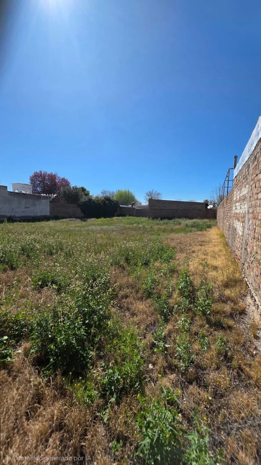 Terreno / Lote en venta de 803.5m2 ubicado en Tunuyán - Imagen 5
