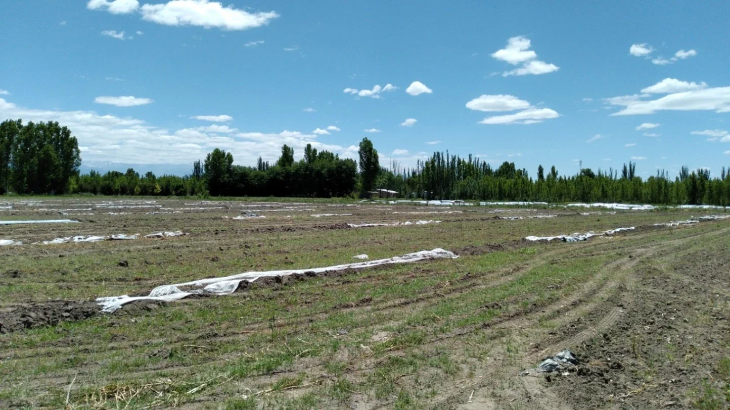 Terreno / Lote en venta de 2939.07m2 ubicado en Colonia Las Rosas - Imagen 1